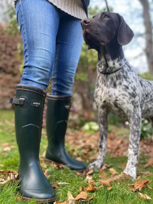 AIGLE Parcours 2 ISO Wellington Boots - Neoprene Lined Adjustable Fit - Bronze Green - Image 3