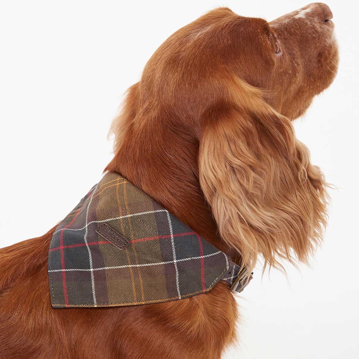 BARBOUR Dog Bandana - Classic Tartan - Image 5