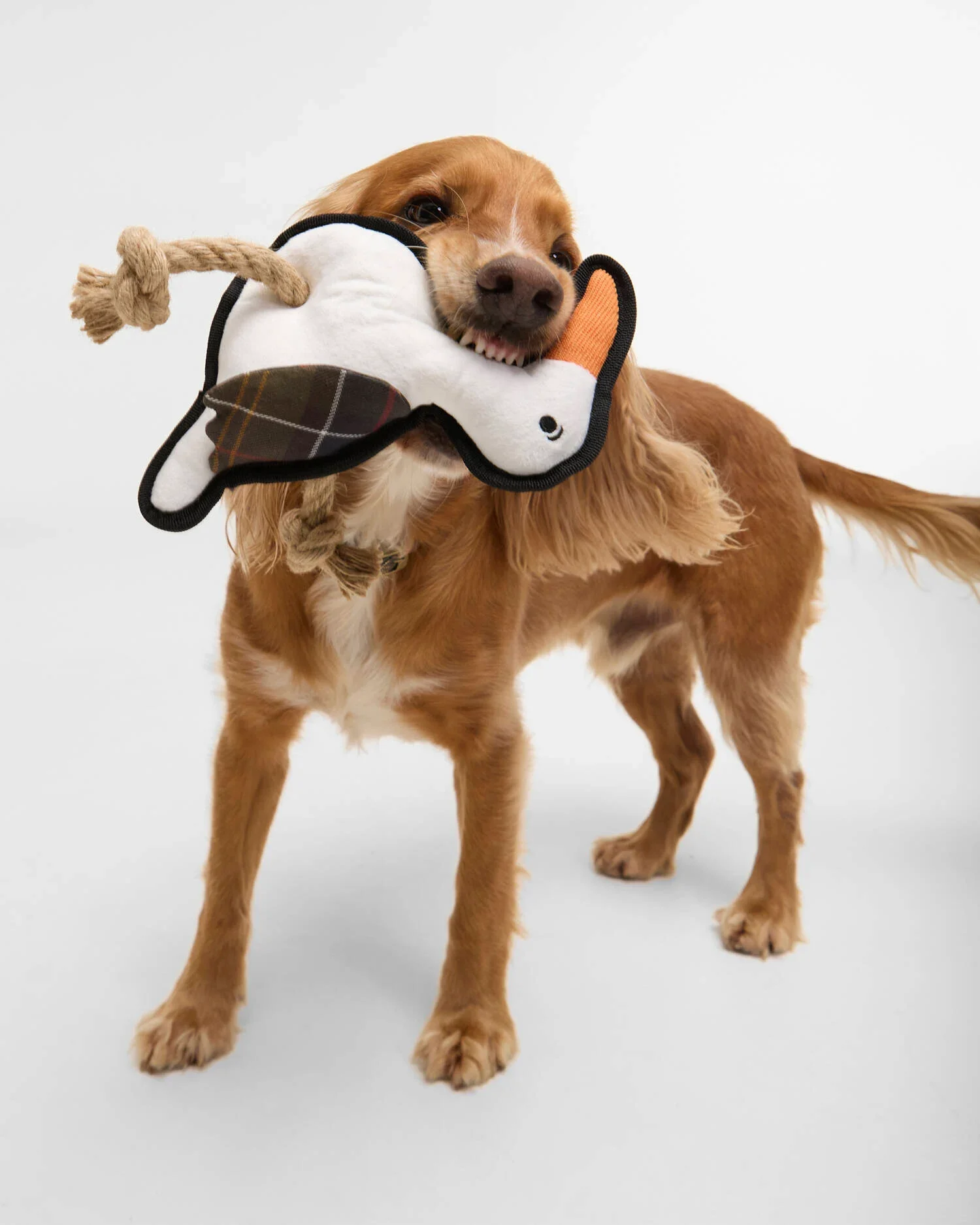 BARBOUR Seabird Dog Toy