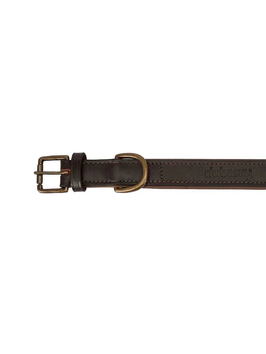 DUBARRY Axel Leather Dog Collar - Mahogany - Image 5