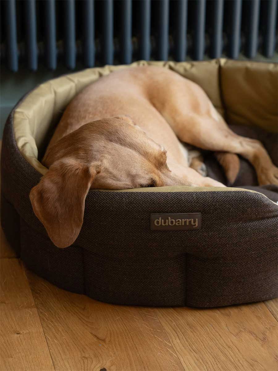 DUBARRY Buster Tweed Reversible Dog Bed - Mocha - Image 2