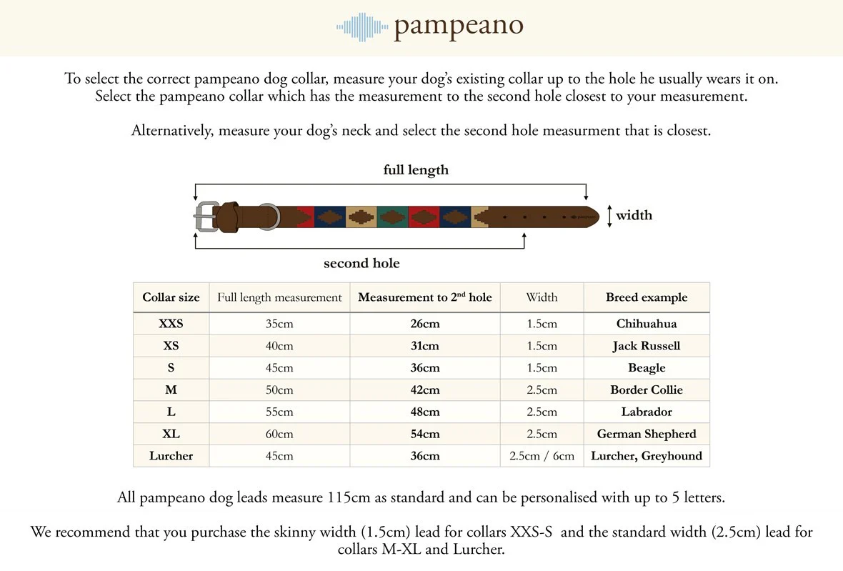 PAMPEANO Dog Collar - Azules - Image 4