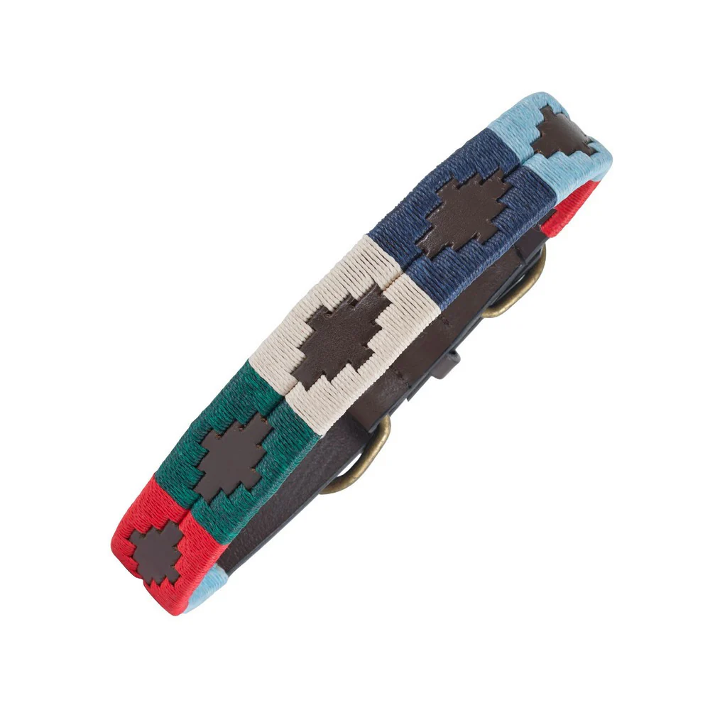 PAMPEANO Dog Collar - Multi