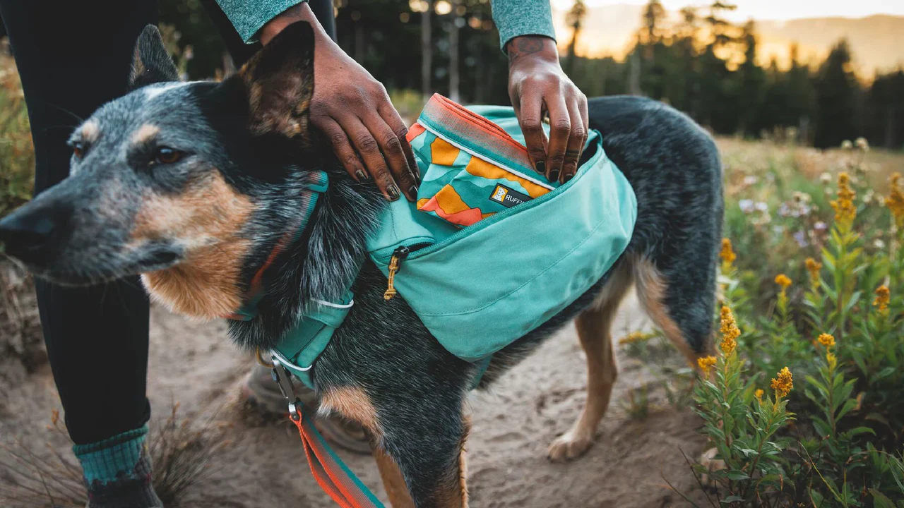 RUFFWEAR Quencher Packable Dog Bowl - Spring Mouintains - Image 2