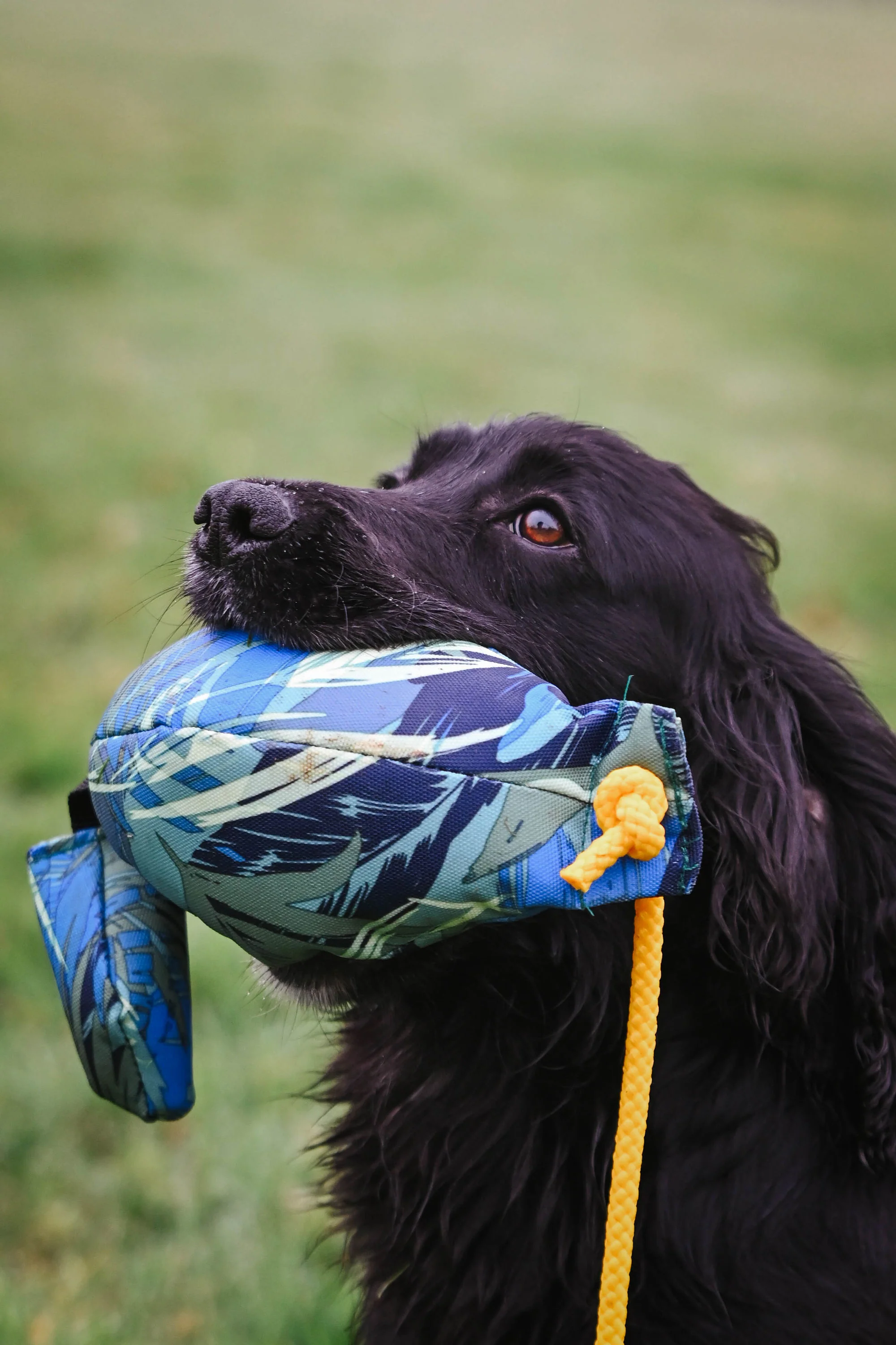 SPORTING SAINT Bird Dummy - Image 6