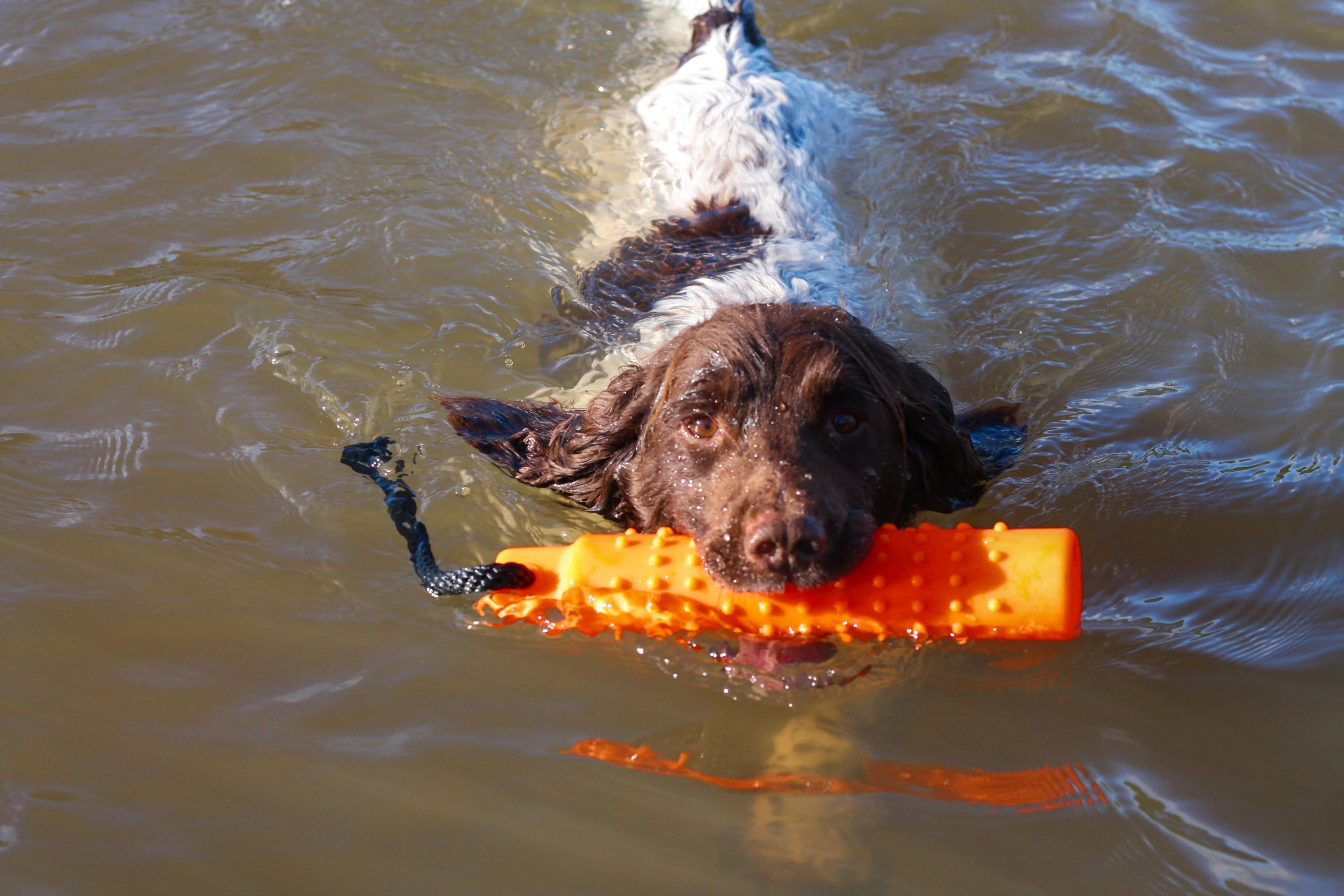 SPORTING SAINT Water Dummy - Image 2