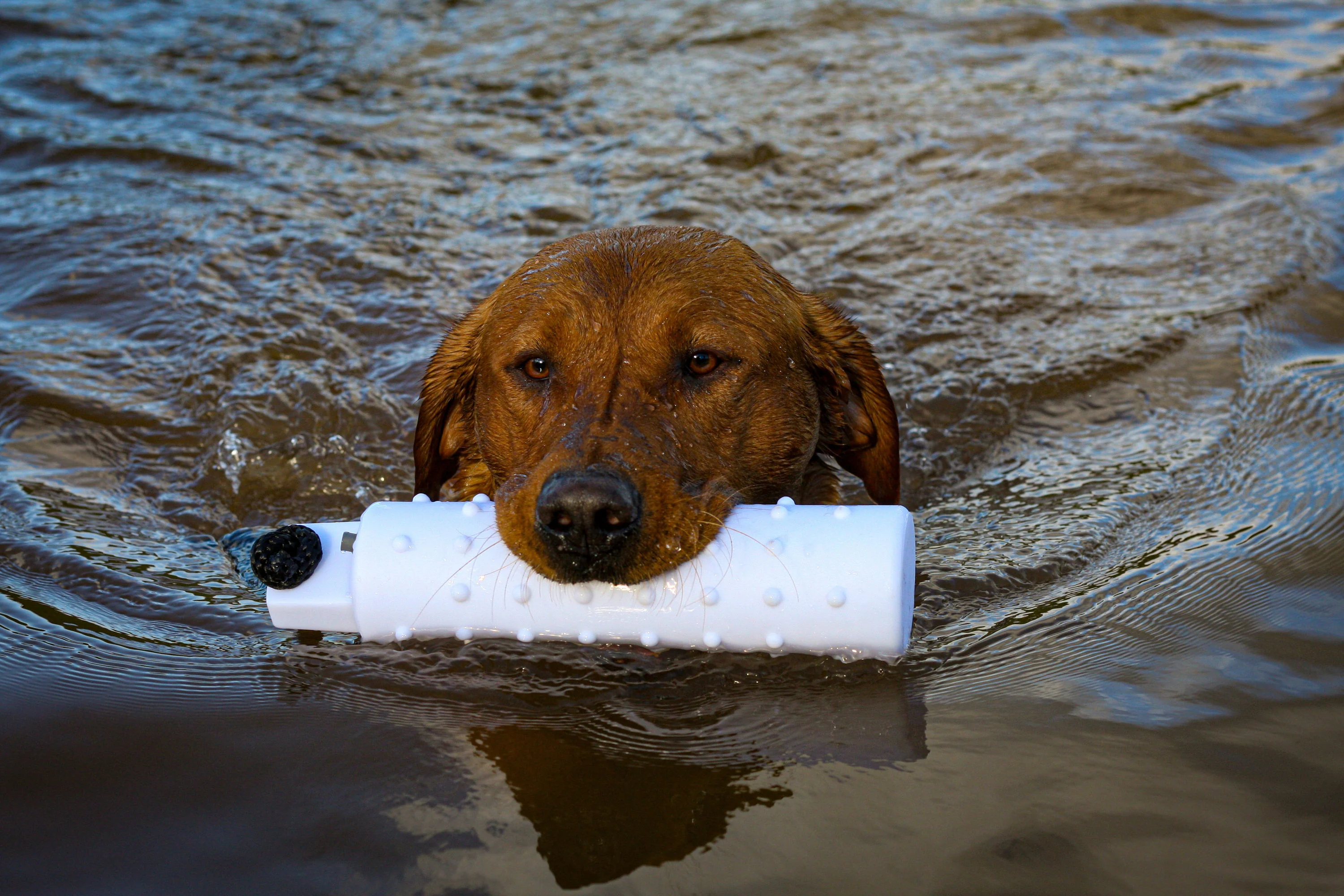SPORTING SAINT Water Dummy - Image 3